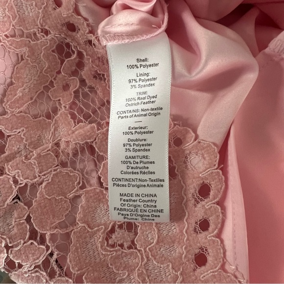 Likely Lorie Feather Trim Long Sleeve Lace Mini Dress in Rose Shadow NWT - Picture 10 of 11